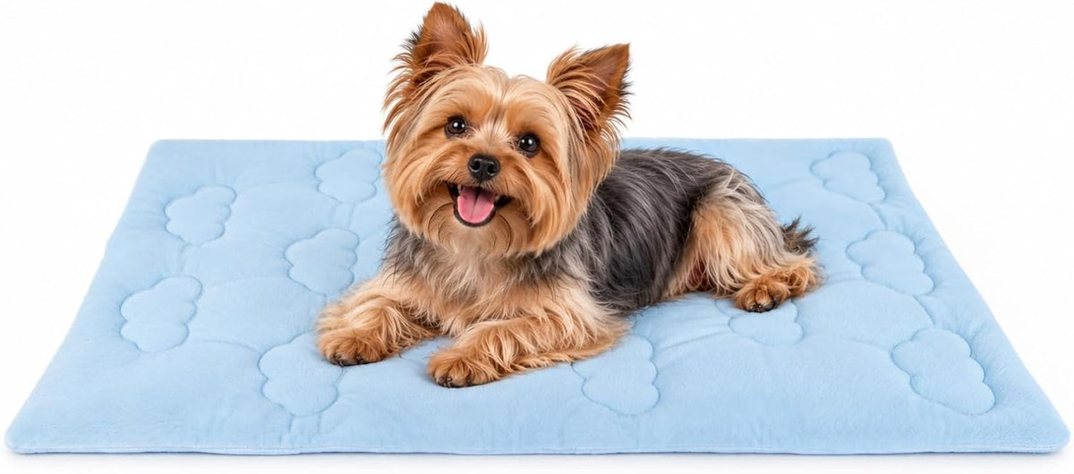 Huafly Dog Cooling Mat,Dual-Sided Cooling Mat for Dogs Cloud Blue – Essentials for Dogs - S: 18.0" L x 24.0" W x 0.8"Th