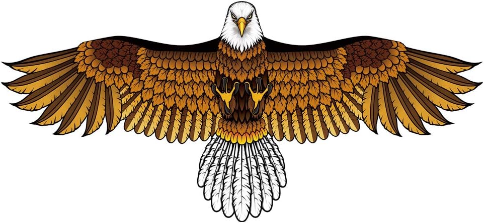 Bald Eagle Kite for Kids & Adults - Eagle Kite with 60" Wingspan