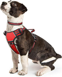 WINSEE Dog/Pet Harnesses No Pull with Dog Collar - Small / Red