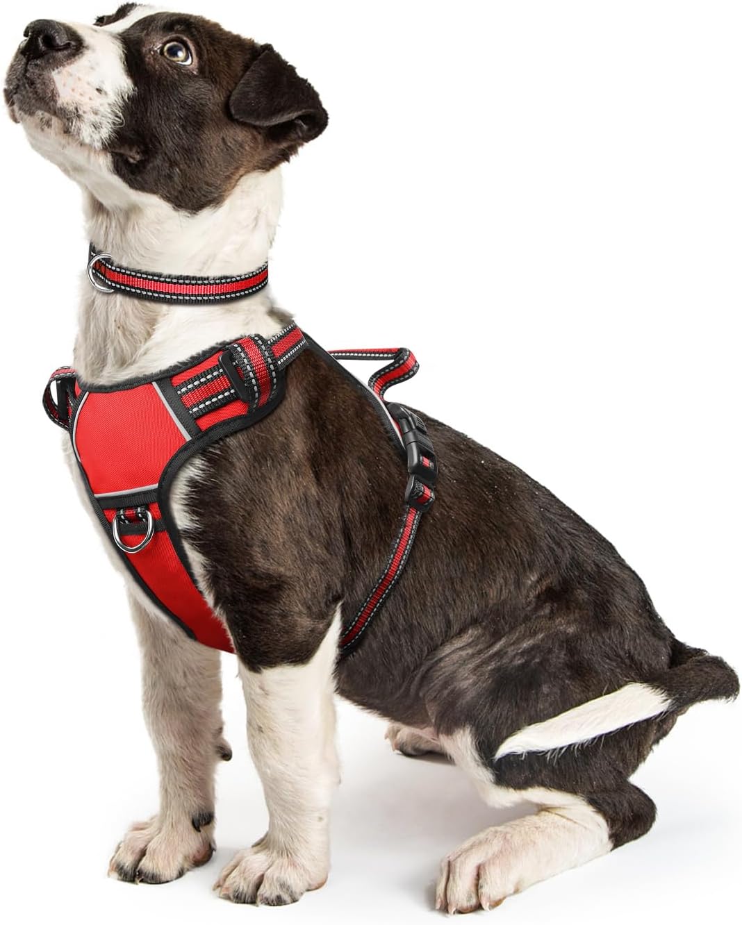 WINSEE Dog/Pet Harnesses No Pull with Dog Collar - Small / Red