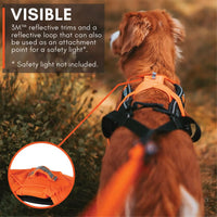 Non-stop Dogwear Freemotion 5.0 Dog Pulling Harness, Blue/Gray - 5 / Orange / Black - image 4