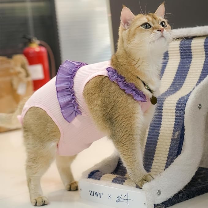 Cat Recovery Suit,Kitten Onesie After Surgery,E-Collar Alternative for Abdominal Wound and Skin Diseases,Soft Breathable Bodysuit After Spay（Pink-m）