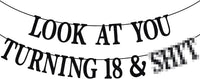 Black Glitter Look at You Turning 25 & Sh*t Banner - 18