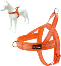 Plutus Pet No Pull Dog Harness with Front Clip - M: chest 19.7"-25.2" / Orange