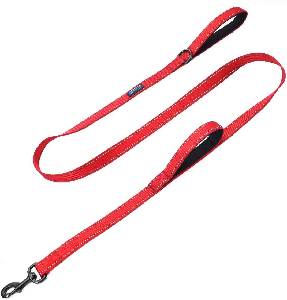Max and Neo Double Handle Traffic Dog Leash, Reflective - 4 FT / Red