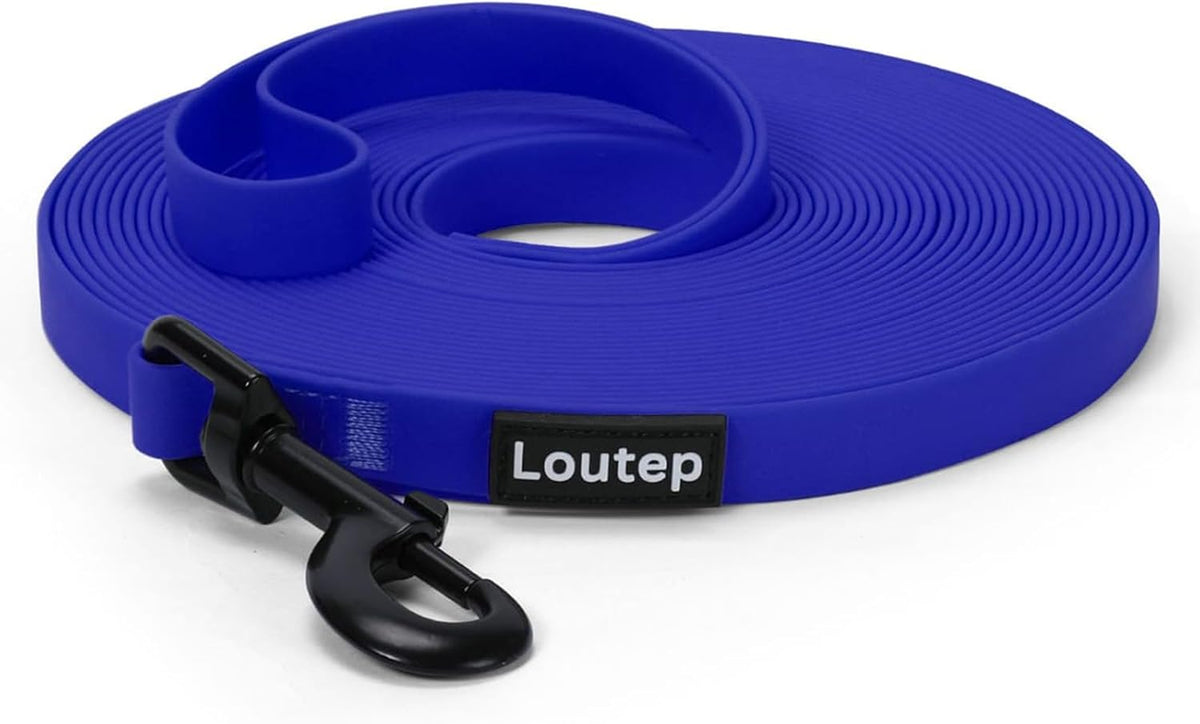 Waterproof Long Line Dog Training Leash, PVC-Coated - Blue / 10ft