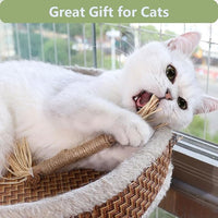 5 PCS Silvervine Sticks for Cats - Natural Cat Chew Toys for Teeth Cleaning, Kitten Teething & Aggressive Chewers
