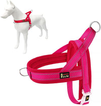 Plutus Pet No Pull Dog Harness with Front Clip - XL: chest 29.5"-39.4" / Pink