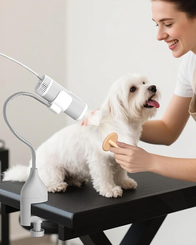 2-in-1 Hands-Free Dog Hair Dryer with Table Clamp – Low Noise Pet Grooming Dryer for Dogs & Cats, Adjustable Heat & Speed, Wearable or Desktop Use(Gray)