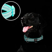 Reflective Dog Collar, Neoprene Padded Small Dog Collar, S - Small (Pack of 1) / Teal - image 4