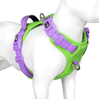 PHOEPET Upgraded No Pull Dog Harness, Reflective Adjustable Vest – Essentials for Dogs - Green Base & Purple Straps / Extra Large