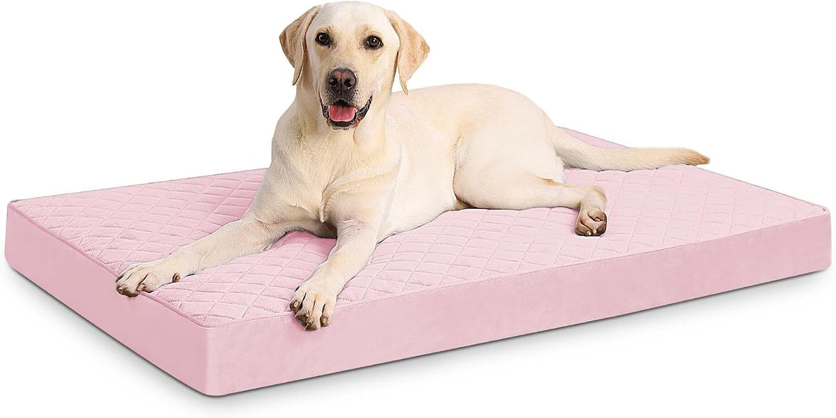 Orthopedic XL Dog Beds Large Sized with Washable Cover, 41x27 - 35.0"L x 22.0"W x 3.0"Th / Pink