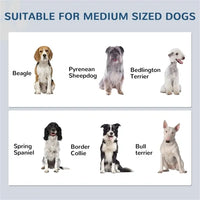 Dog Food Storage Cabinet