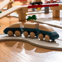 Hybrid Train - BIG FRENCHIES