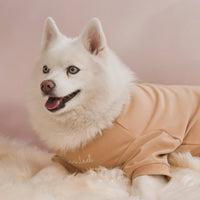 “Spoiled” Mock Neck Shirt - Miss U a Latte