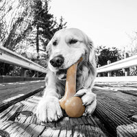 Nylon Dog Bone for Aggressive Chewers - BIG FRENCHIES