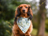 "Chambray Stripes" Dog Bandana
