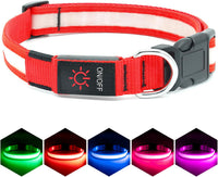 Brighten up your pup's night walks with our adjustable LED Dog Collar! 🌟 USB rechargeable & super safe! 🐾❤️ - BIG FRENCHIES