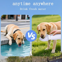 Portable Dog Water Bottle 550ML Collapsible Travel Bowl Leakproof