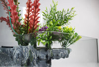 1.85 Gallons Glass Aquarium for Live Plants and Fish - BIG FRENCHIES