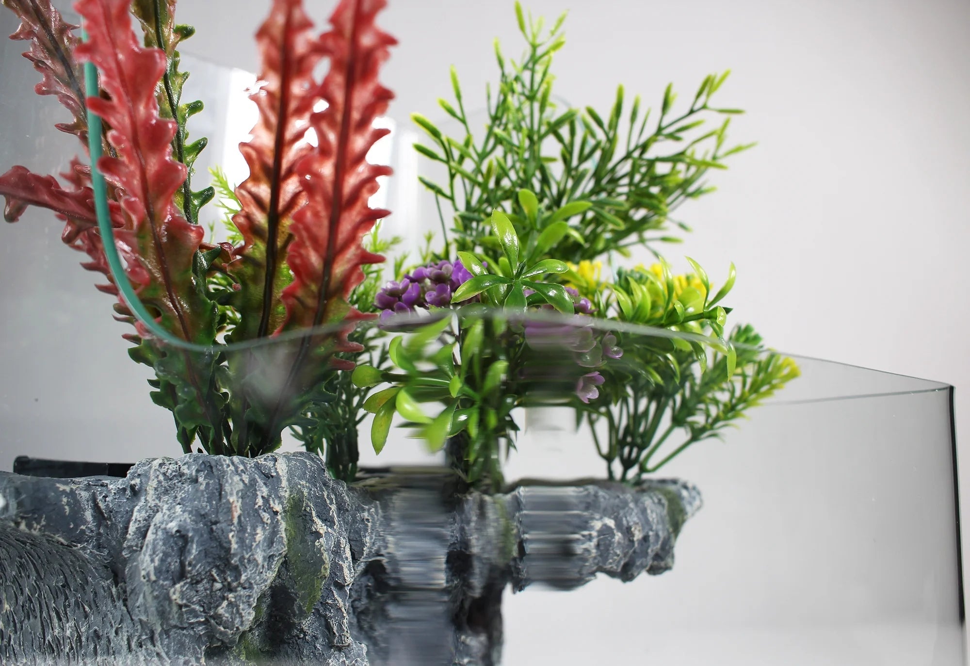 1.85 Gallons Glass Aquarium for Live Plants and Fish - BIG FRENCHIES