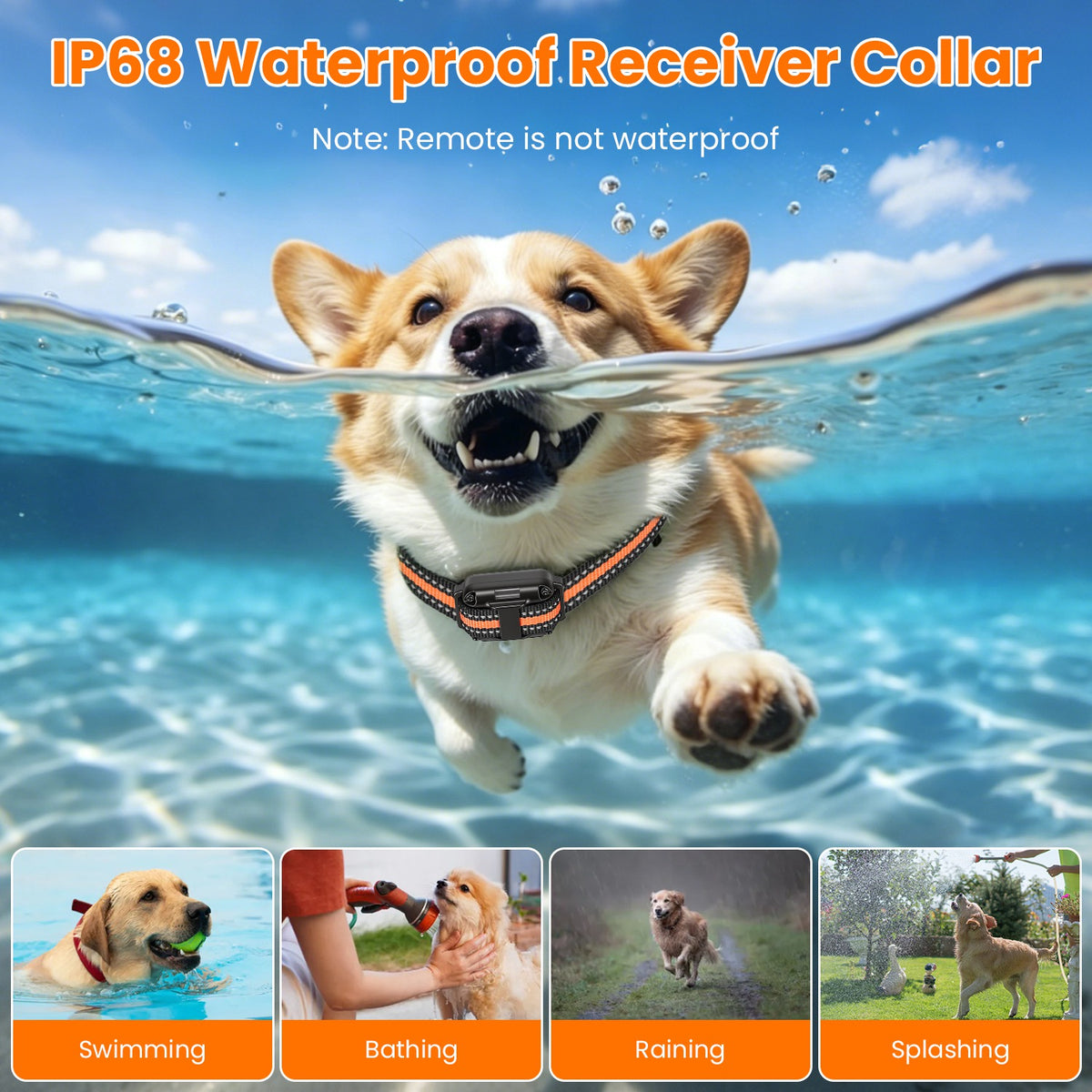 Dog Training Collar With Remote