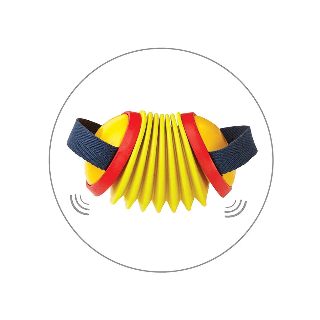 Concertina - BIG FRENCHIES
