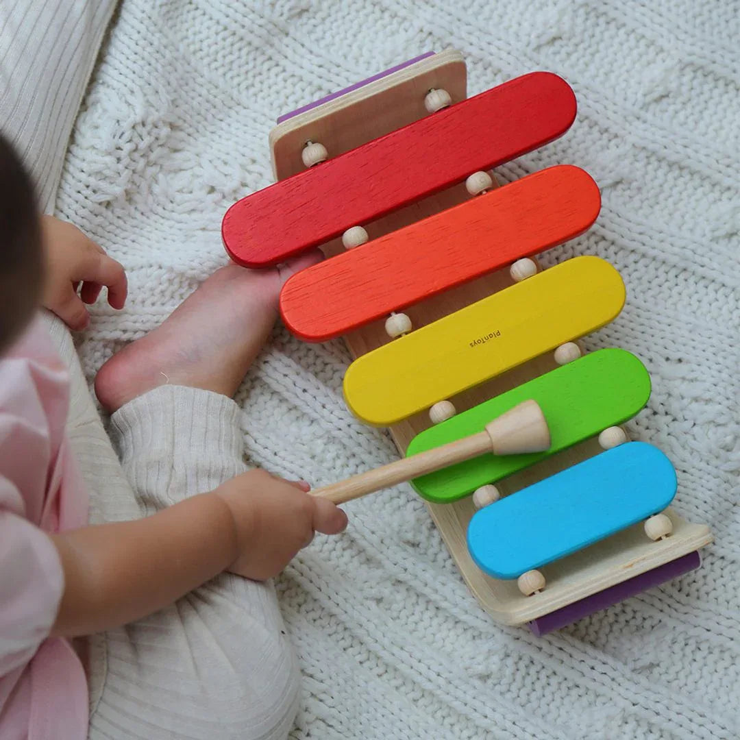 Oval Xylophone - BIG FRENCHIES