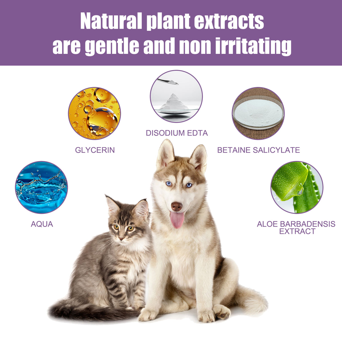 118ml Pet Ear Rinse Cleaner With Glycerin & Disodium EDTA, Anti-Itch Antimicrobial Ear Wash For Dogs Cats, Alcohol-Free 