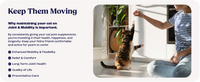 Cat Joint Supplement Chondroitin Mobility Support Natural Formula