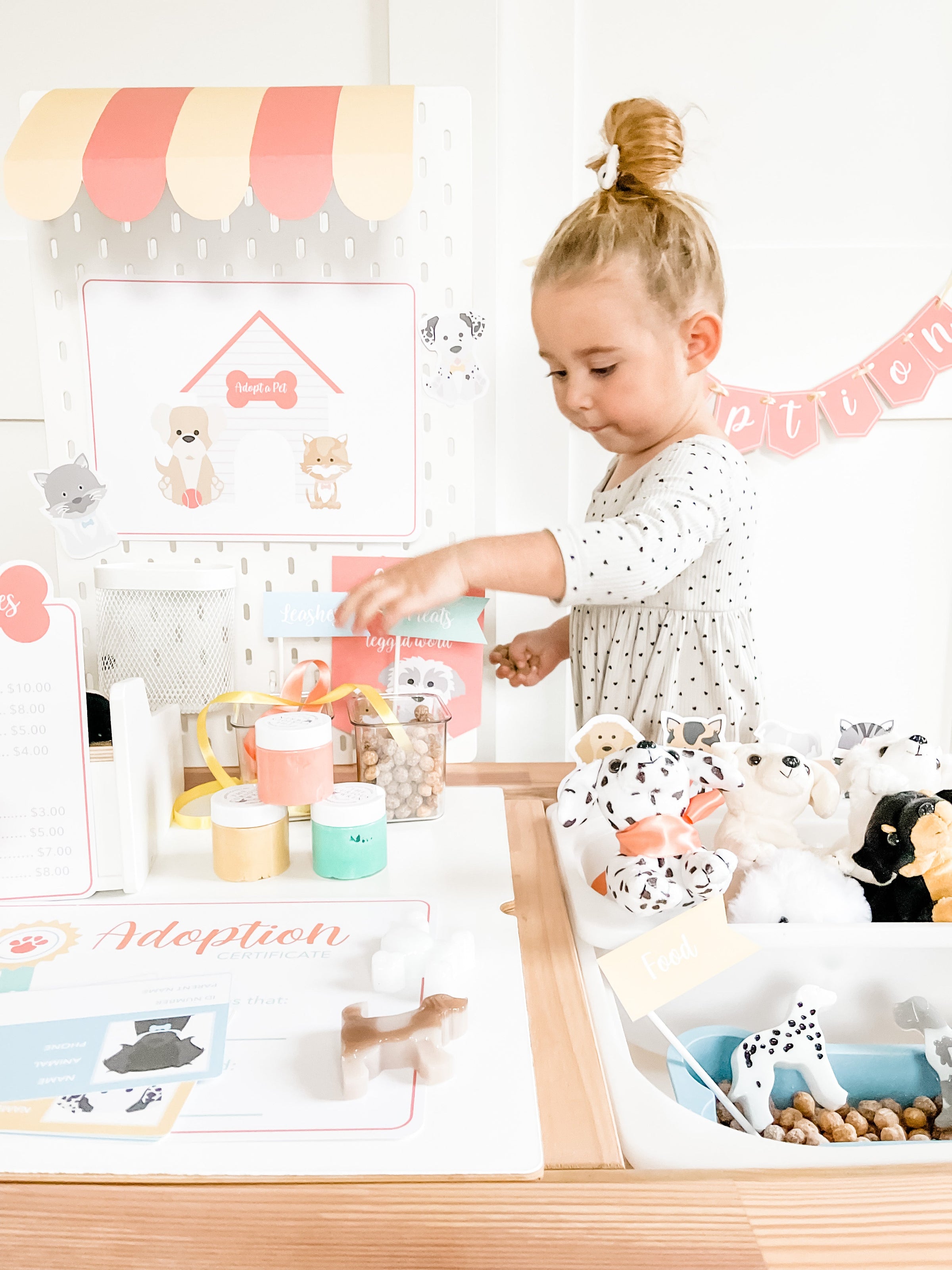 Pet Adoption Clinic Dramatic Play