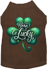 Adorable Cat or Dog Shirt for Pets "A's Born Lucky"