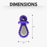 Purple Rubber Dental Pacifier Dog Toy – Ridges, Treat Hole & Durable Design - BIG FRENCHIES