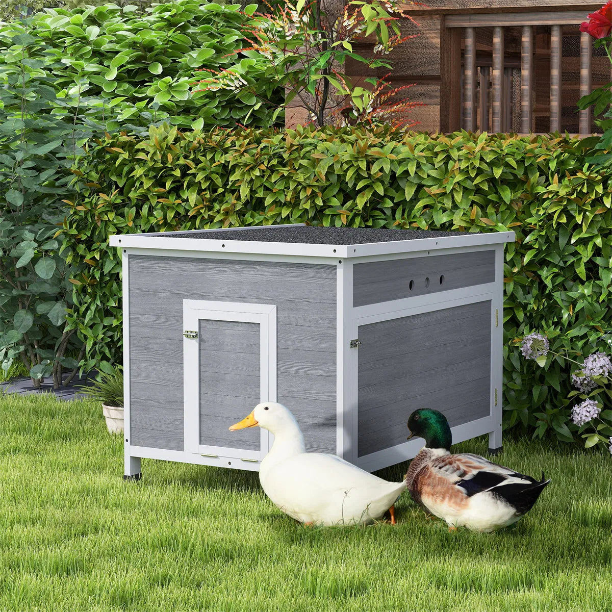 Duck House