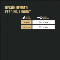 High Protein Cat Food - BIG FRENCHIES