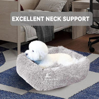 Cat Bed for Indoor Cats and small dogs - BIG FRENCHIES