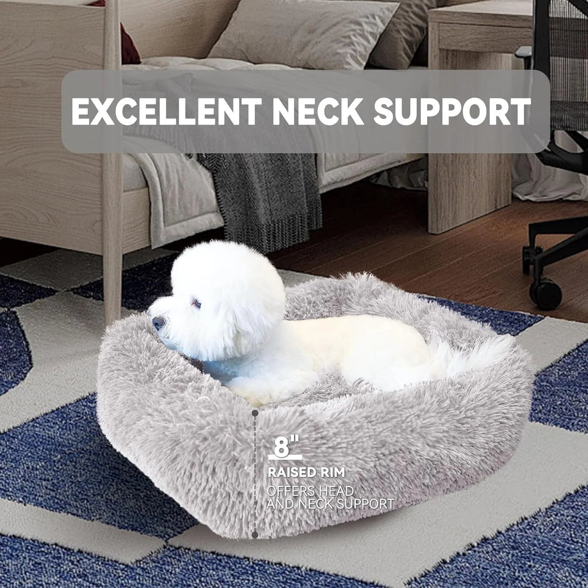 Cat Bed for Indoor Cats and small dogs - BIG FRENCHIES