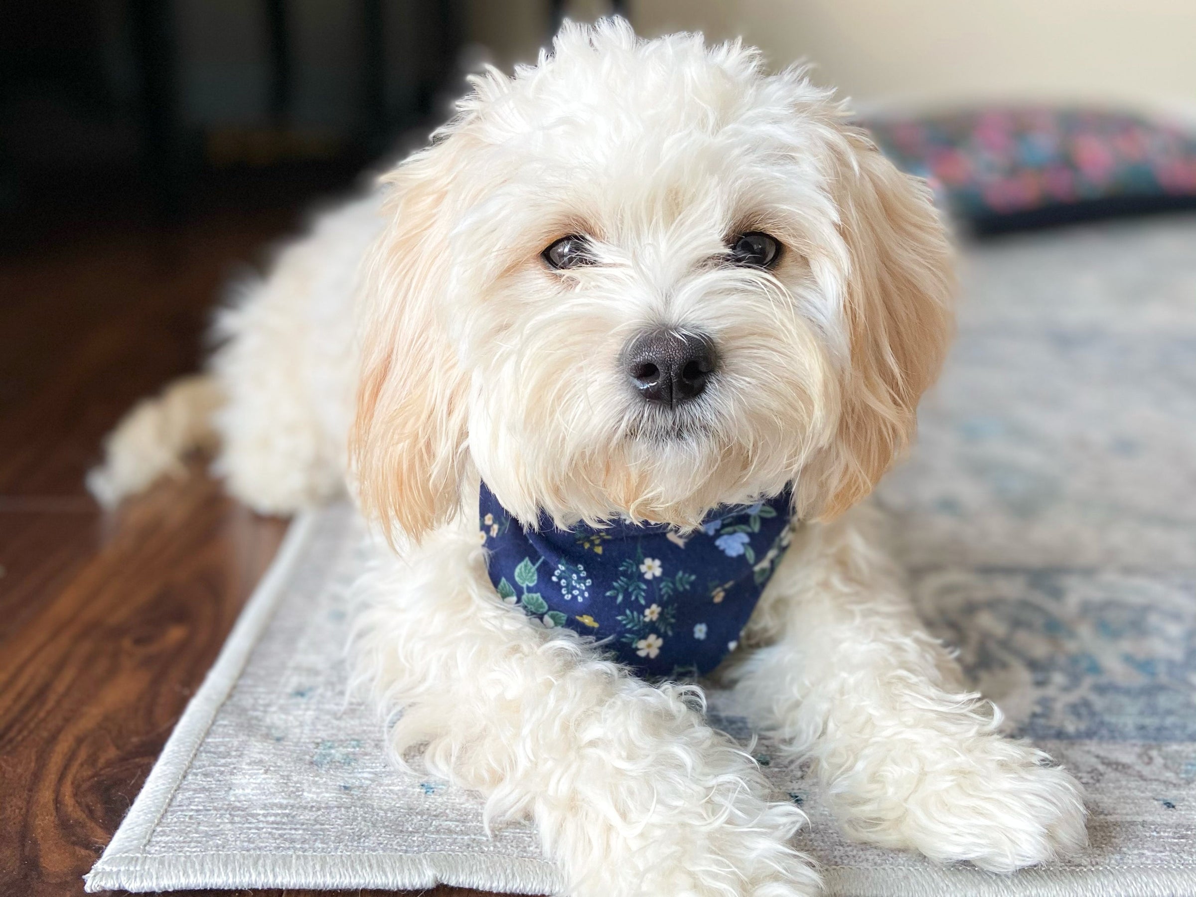 "Green Fair Isle" Dog Bandana