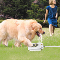 1Pc Dog Water Fountain Outdoor Dog Pet Water Dispenser Step-on Activated Sprinkler With Interactive Paw Pedal Valve For 