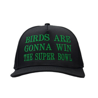 Birds Are Gonna Win The Bowl Custom Embroidered Hat SnapBack