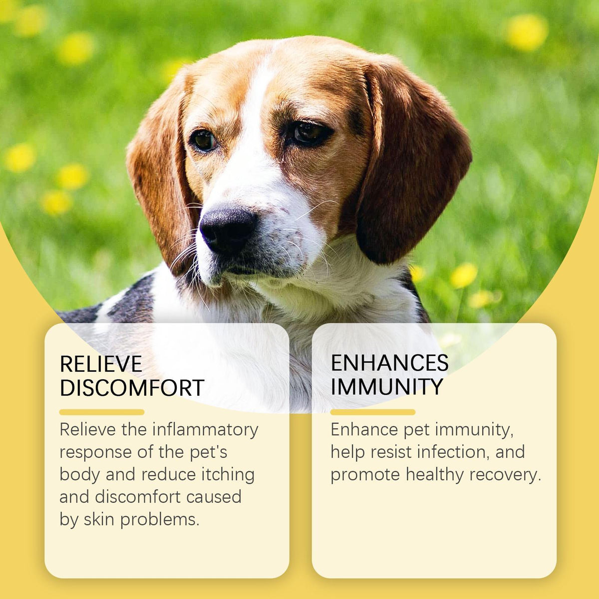 Yebang Pet Herbal Supplement Herbal Yeast Supplement For Soothing Pet Skin Care