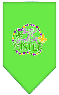 Pet and Dog Bandana Screen Printed, "Throw Me Something Mister"