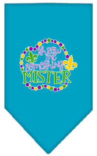 Pet and Dog Bandana Screen Printed, "Throw Me Something Mister"