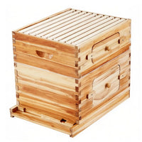 Bee Hive for Outdoor