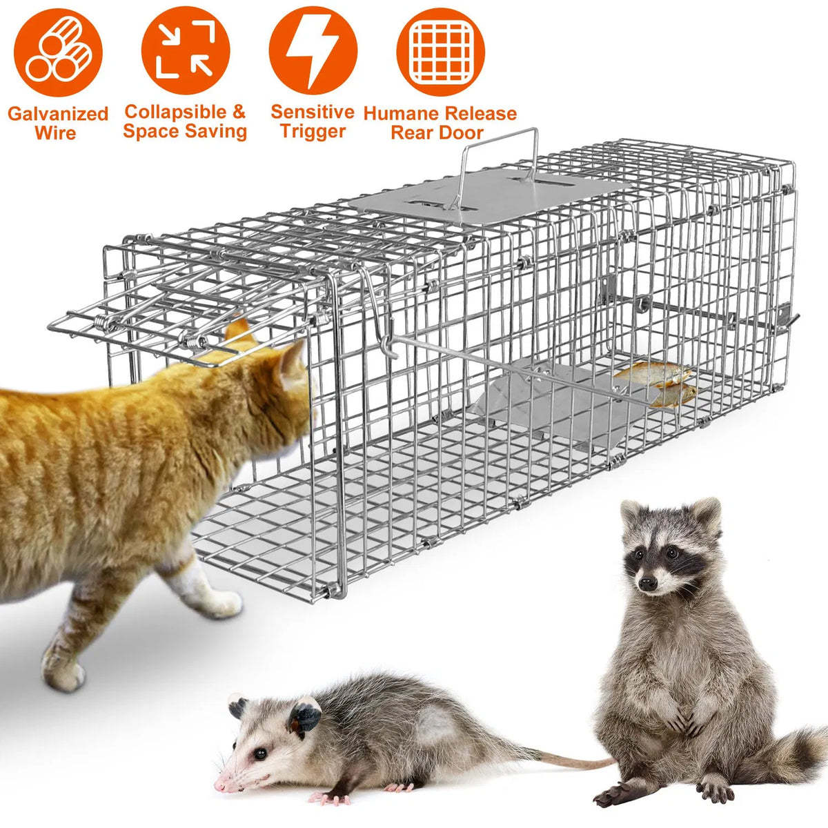 Humane Cat Trap Cage Catch Release Live Animal Rodent Cage Collapsible Galvanized Wire for Small Raccoons Beavers Ground