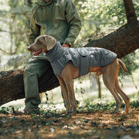 Thick and warm dog clothing outdoor cotton coat vest for winter warmth