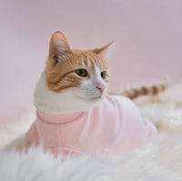 “Spoiled” Mock Neck Shirt - Cupid’s Blush