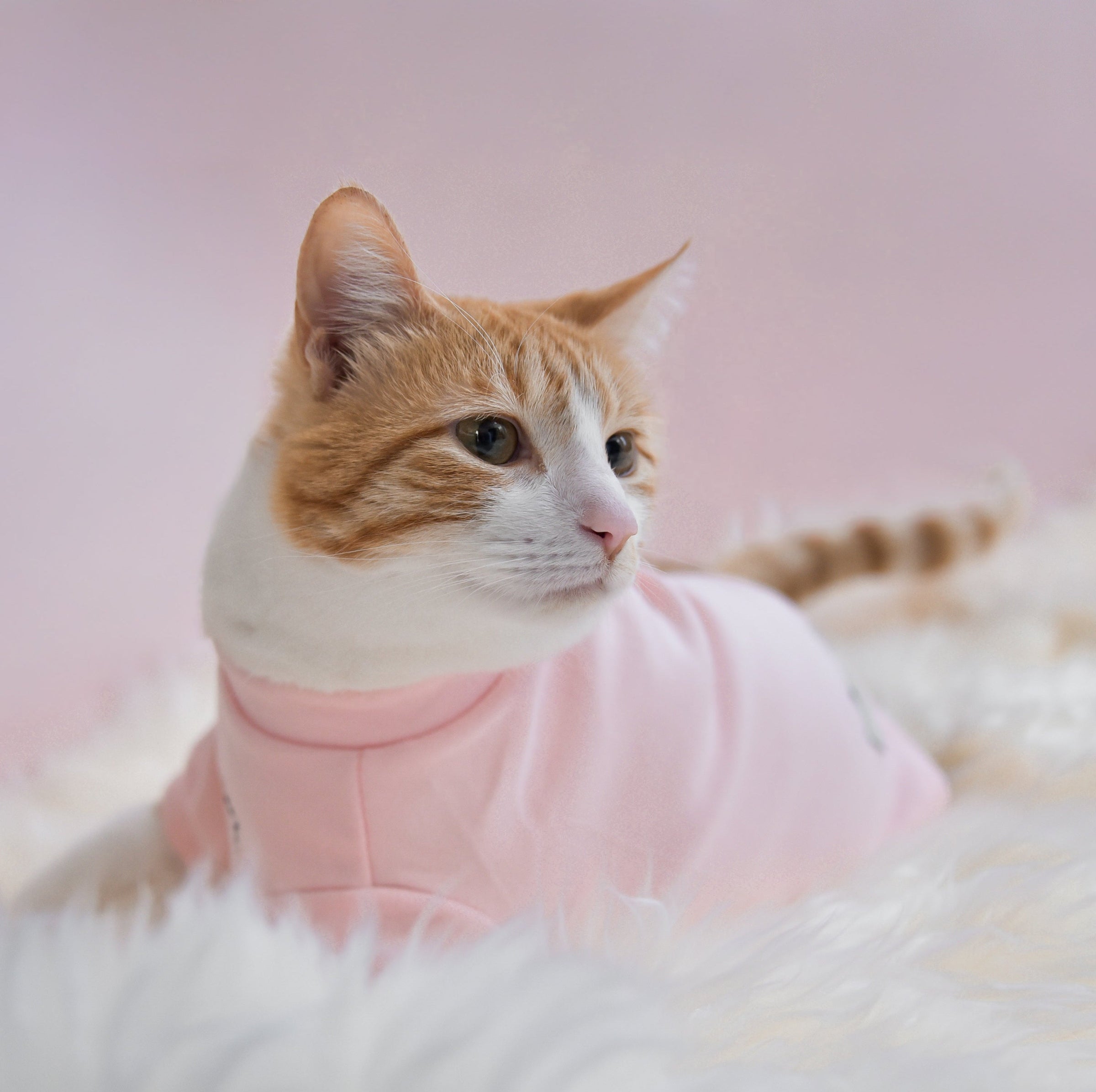 “Spoiled” Mock Neck Shirt - Cupid’s Blush