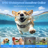 2-in-1 Dog Shock and Bark Collar Dog Training Collar with Remote 1/2/3 Collars(Options) Rechargeable IP68 Waterproof wit