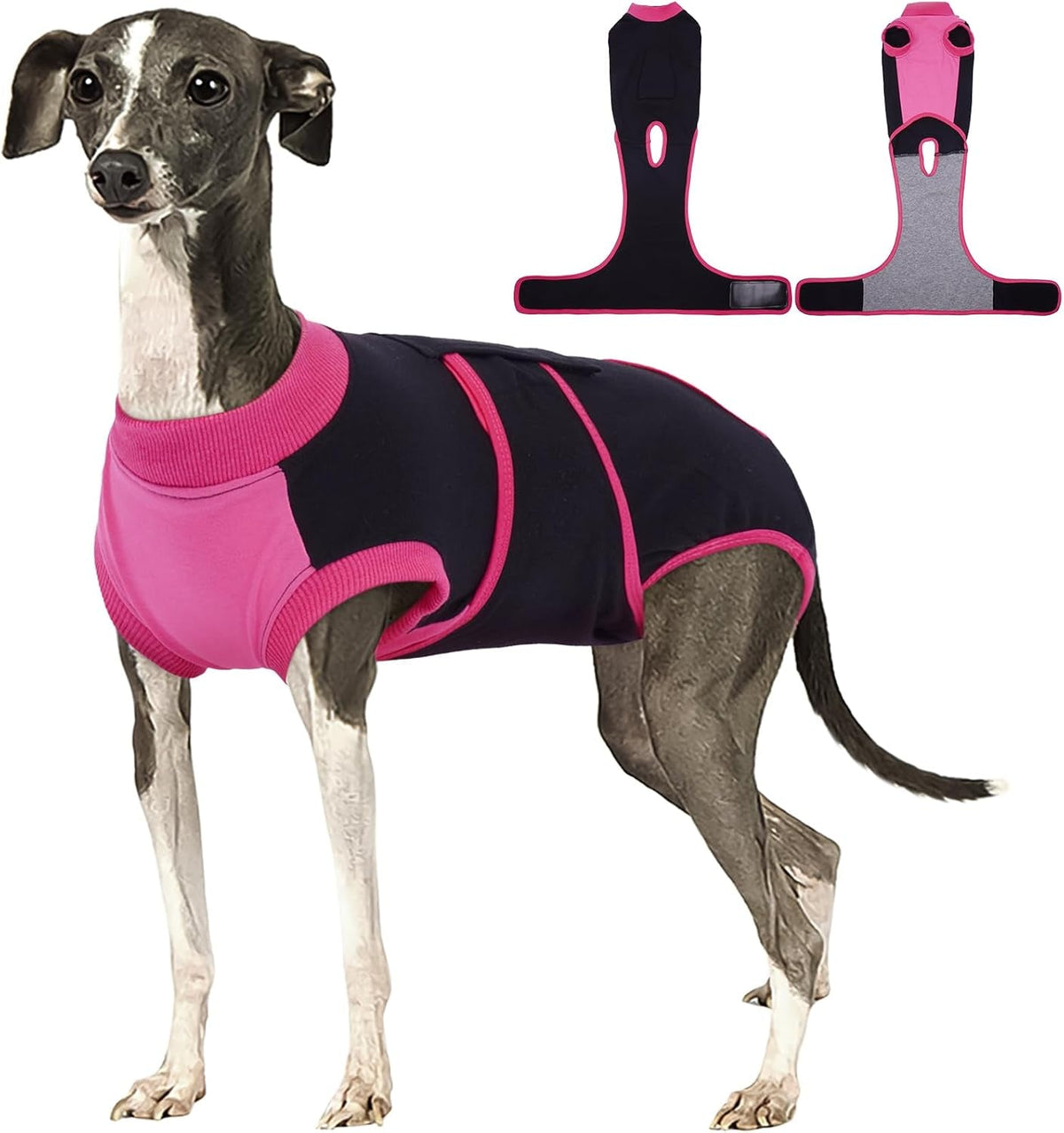 Female Dog Recovery Suit After Spay, XS–2XL